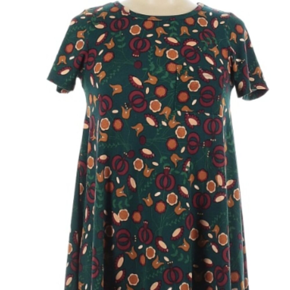 LuLaRoe Floral Fall Casual Dress